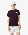 MEN'S LACOSTE TENNIS X NOVAK DJOKOVIC PACK (Brown • 3KE)